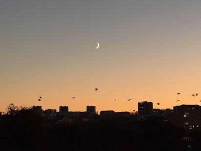 Chisinau skyline at night