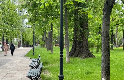 Chisinau Central Park with green trees and grass